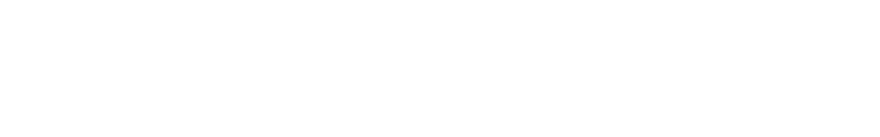 Netshoes
